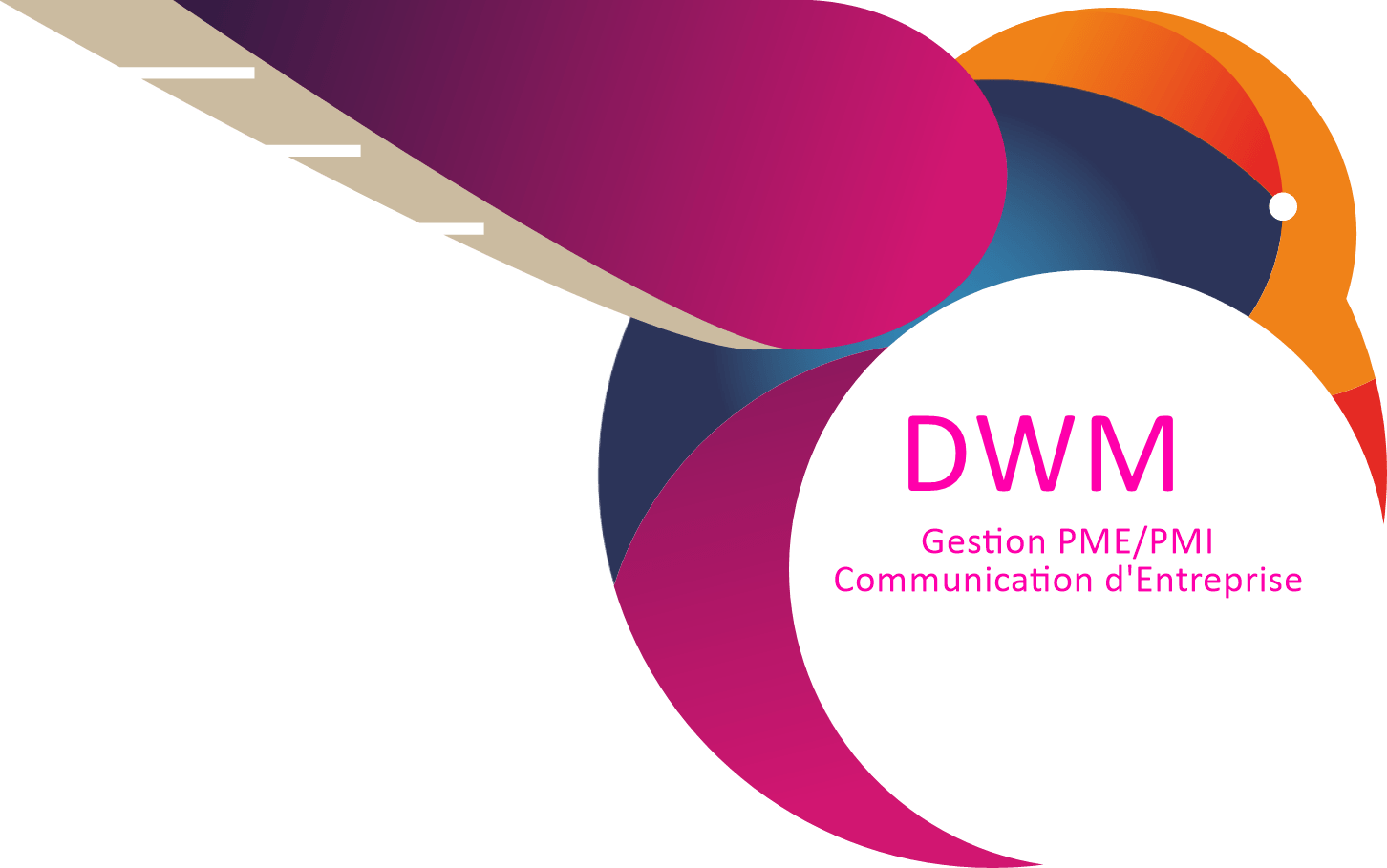New logo Agence Web DWM-DesignWebMas Avenue Jean Moulin 83400 Hyères